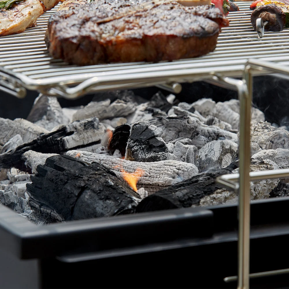 BBQ Grilling on charcoal