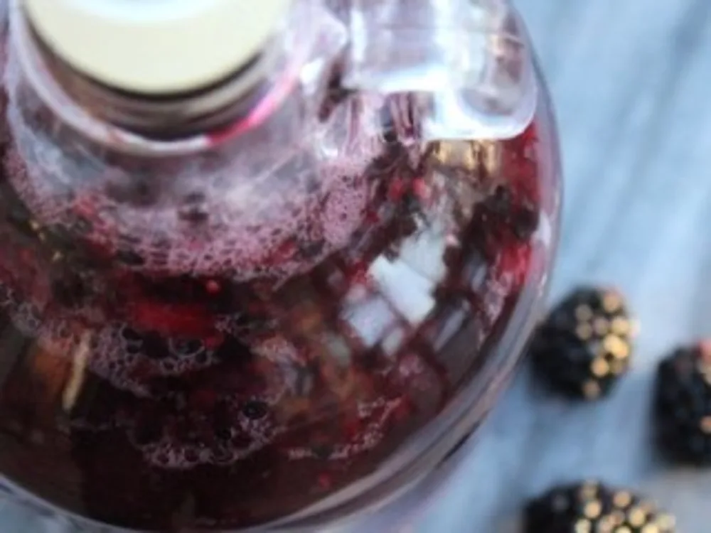 Storing blackberry moonshine in airtight jar