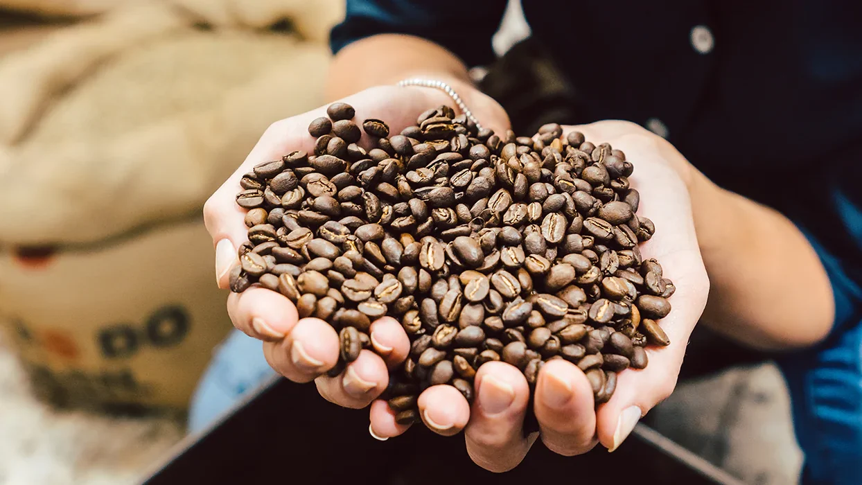 Always use fresh Robusta beans.
