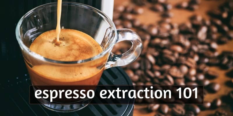 Reasons You Need to Know About Extraction Time