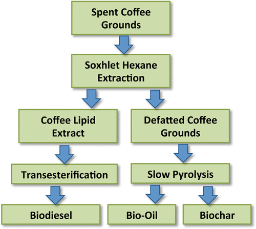 Key Considerations For Successfully Upcycling Coffee Pucks