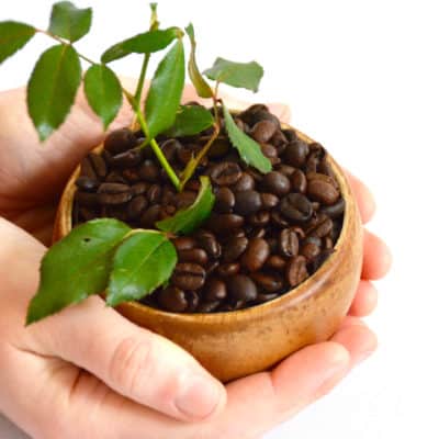 Maximizing Excelsa in Blends