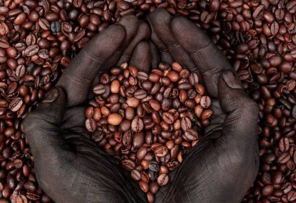 Sustainability of Kopi Luwak
