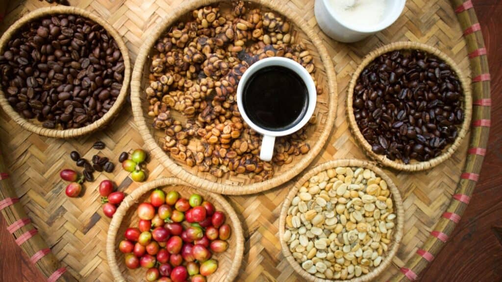 Potential Downsides of Kopi Luwak
