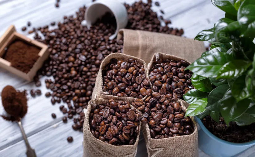 Brewing Ethical Coffee