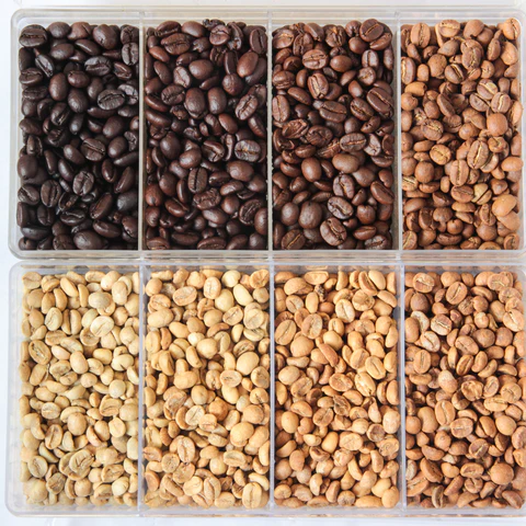 Seasonal Beans of Expresso