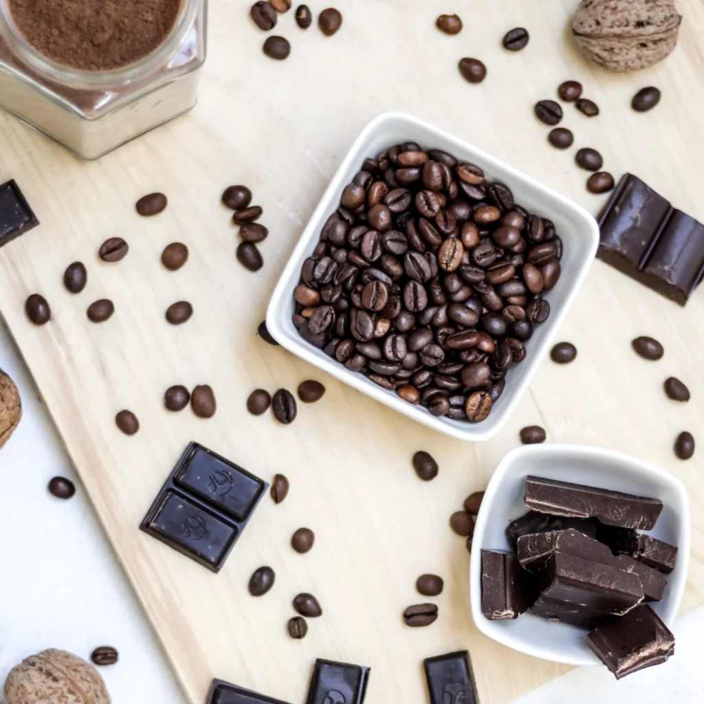 Bean to Bar – Cacao Ventures