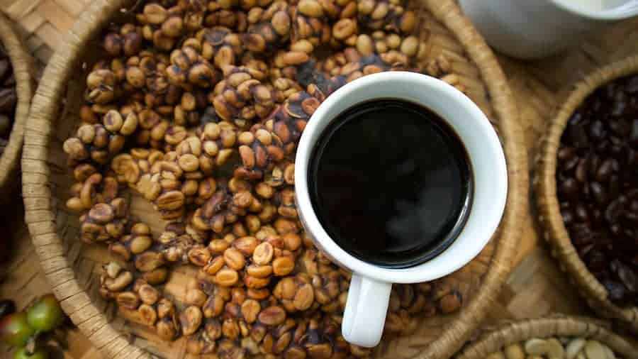 Key Features of Kopi Luwak