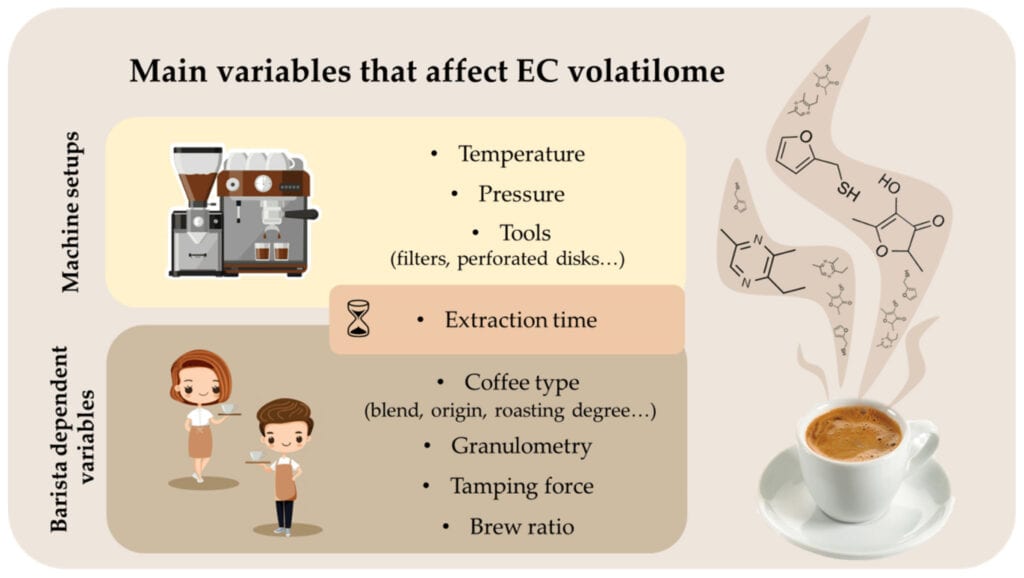 Journey of Expresso