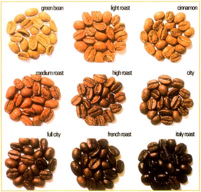 Full spectrum for Kopi Luwak bean roaste