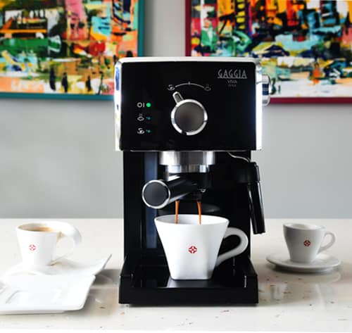 Ease of Setup and Use of Gaggia Viva Style