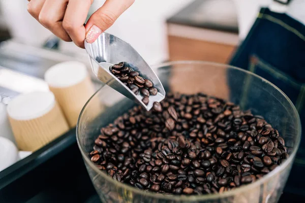 high body score of cupping coffee beans