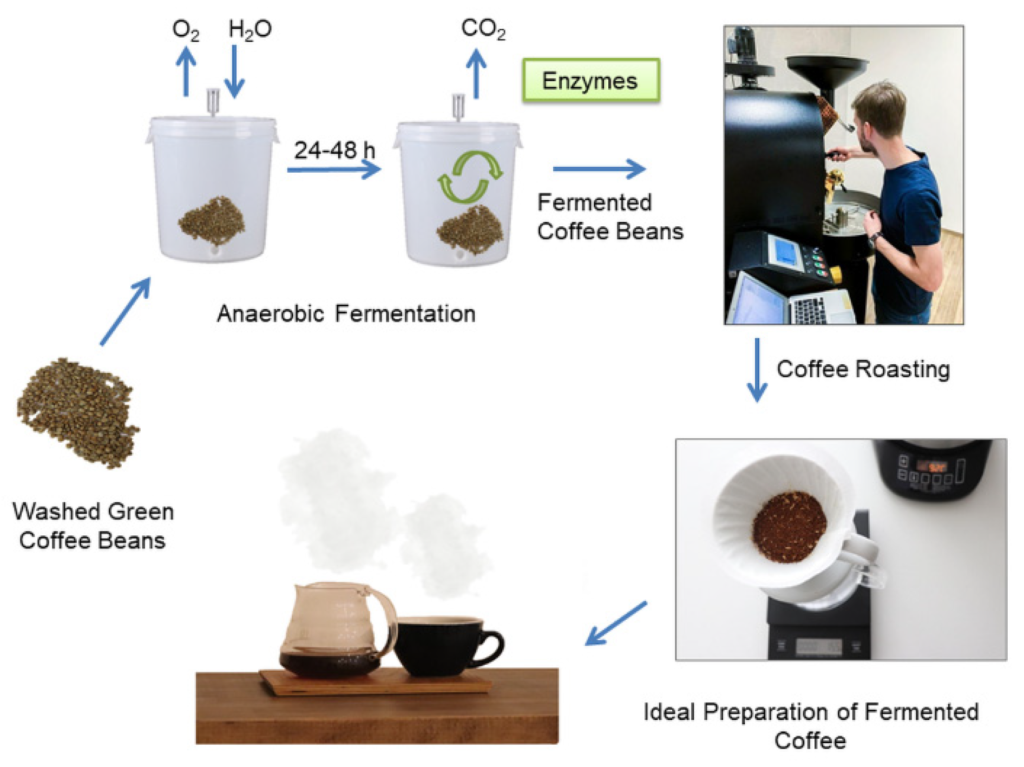 processing method of acidic coffee