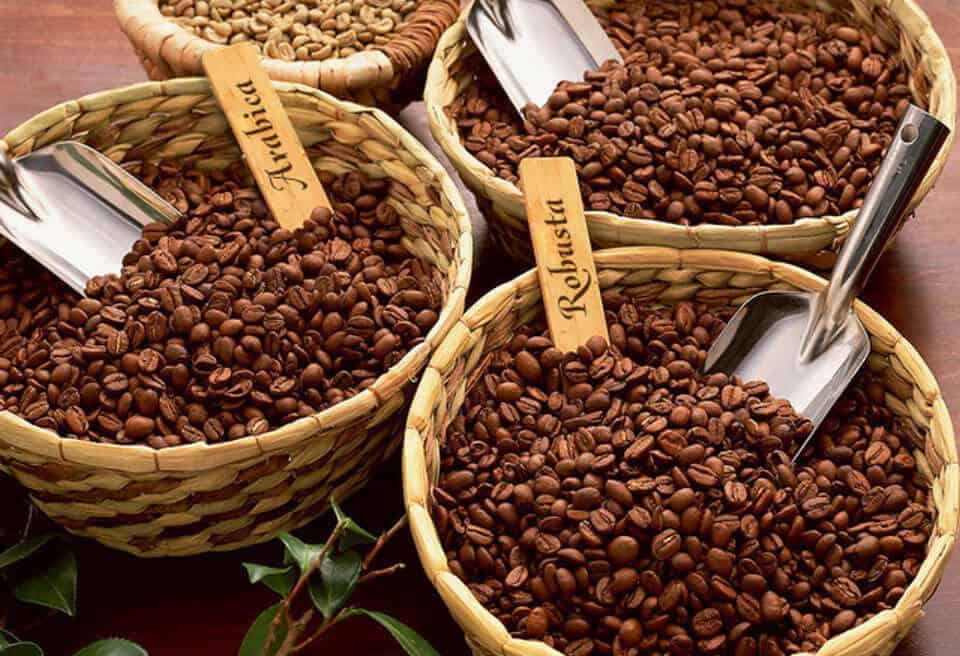 Arabica, Robusta coffee beans 