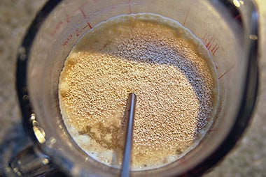 Yeast Addition and Fermentation