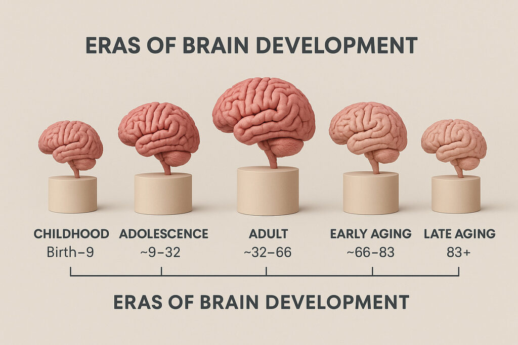 El Contexto Científico — Cómo Cambia el Cerebro Adulto Para Volverse Más Sabio y Estratega